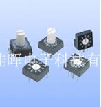 編碼開關&&&真的真的真的愛你